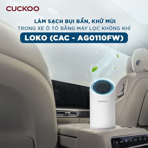 Máy lọc không khí LOKO